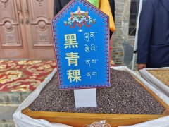 辉煌60载 魅力新西
